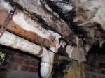 badly-rotted-flor-joists-with-extensive-fungal-growth-under-a-leaking-shower