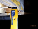 high-moisture-content-and-fungal-growth-on-floor-joists