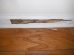 termite-damage-to-baseboards-7-year-old-house