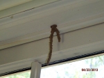 termite-tunnel-hanging-from-the-inside-of-a-window-jamb